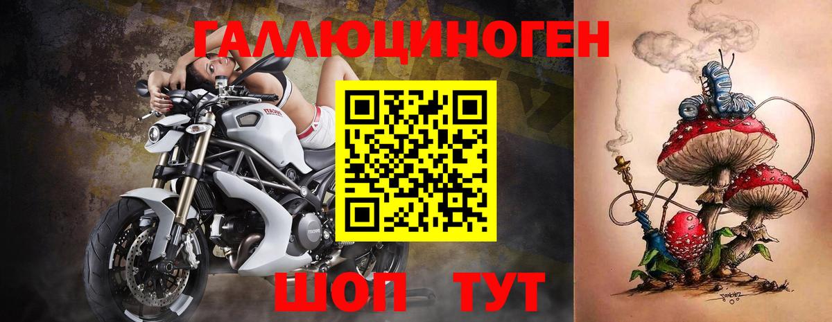 Нижнекамск  Псилоцибиновые грибы Psilocybine cubensis  Вход с VPN 
